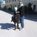 Turmkeller Διαμέρισμα Grieskirchen
