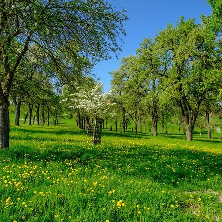 Turmkeller Appartamento Grieskirchen