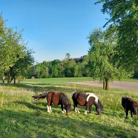 Turmkeller