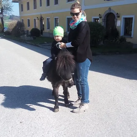 Turmkeller Appartamento Grieskirchen