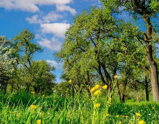 Turmkeller * غريسكيرخين