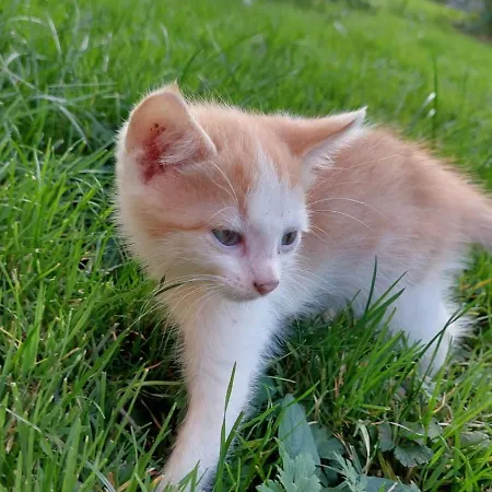 Turmkeller Апартаменты *