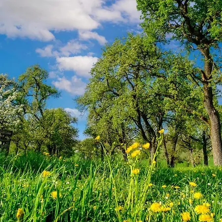 Turmkeller * Грискирхен