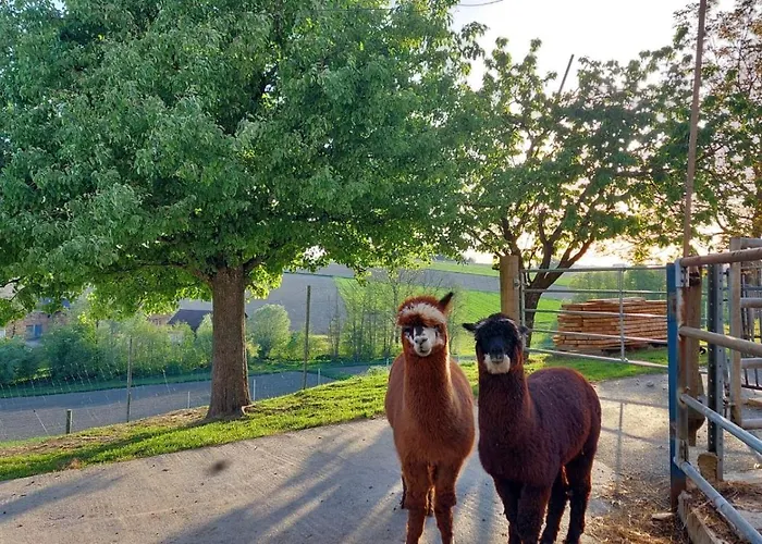 Lejlighed Turmkeller *