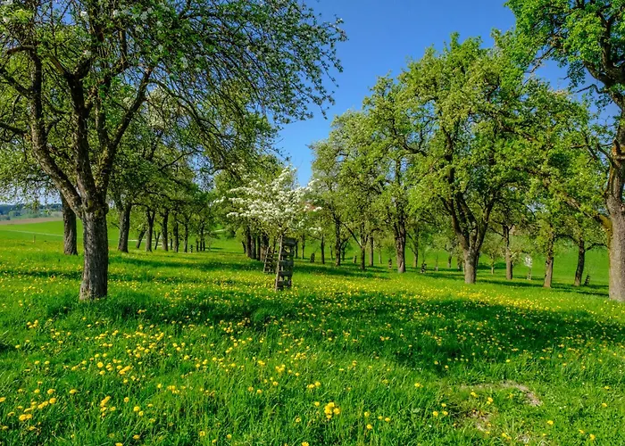 Turmkeller Lejlighed Grieskirchen