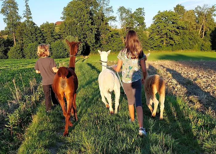 Turmkeller Grieskirchen