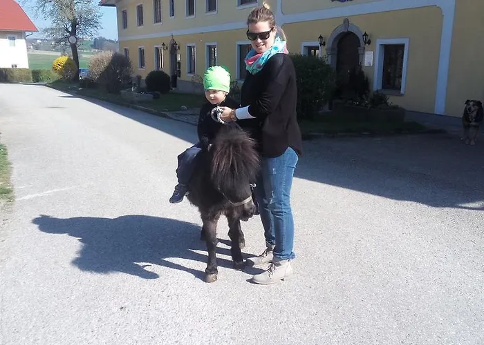 Turmkeller Lejlighed Grieskirchen